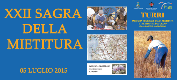 Sagra Mietitura 2015 Turri